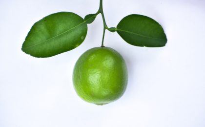 Comment préparer le Citron vert ?